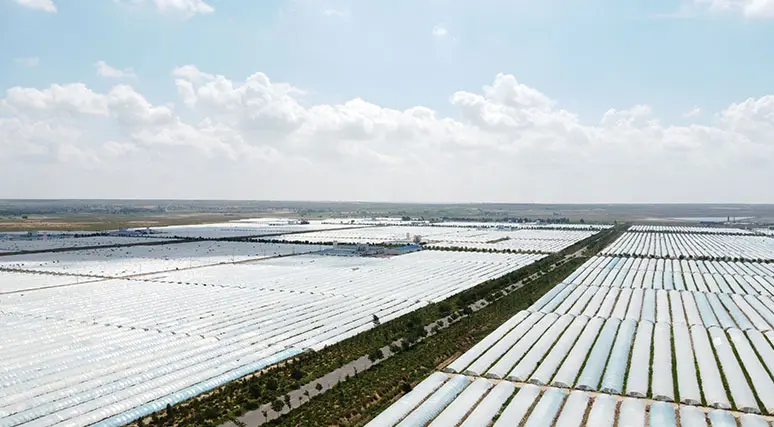 organic food ingredient suppliers