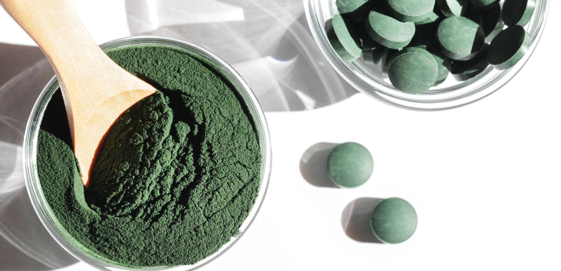 Organic Food Ingredients Natur Supply