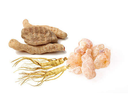 Organic Extracts Raw Materials