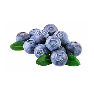 Organic Blueberry Juice Powder