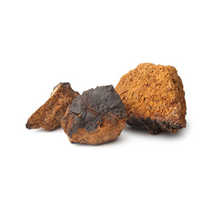 Organic Chaga Powder / Extract