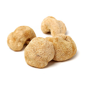 Organic Lion's Mane Powder / Extract