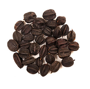 Organic Panax Ginseng Powder/Root/Cut