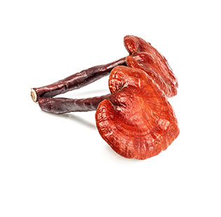 Organic Reishi Powder