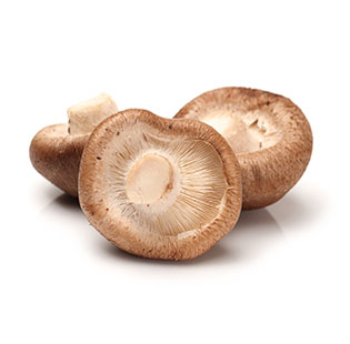 Organic Shiitake Powder / Extract