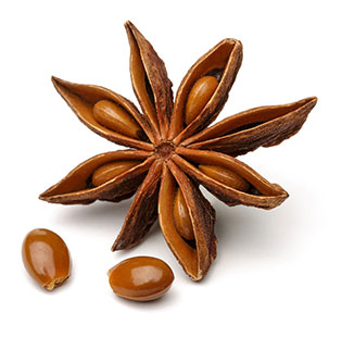 Organic Star Anise Powder/Fruit