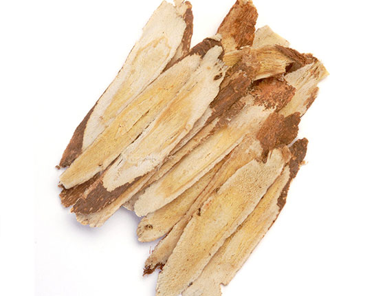 organic astragalus membranaceus
