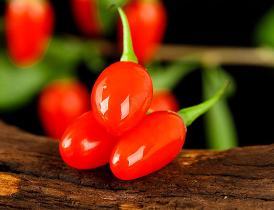 organic gojiberry