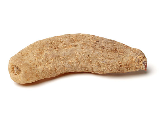 organic angelica extract