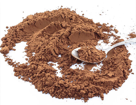 organic chaga powder 2