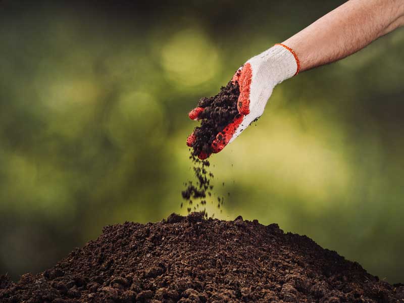 Application Management of Organic Fertilizer in Organic Food Ingredients