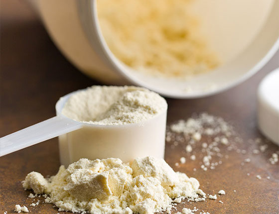 rice protein powder bulk