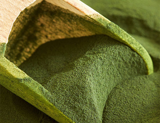 organic chinese chlorella