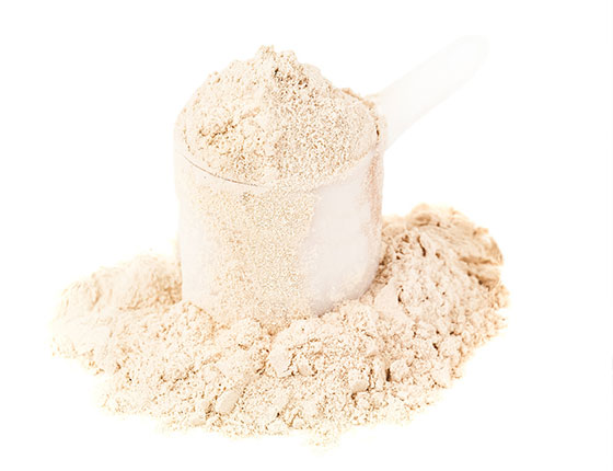 organic pea protein powder