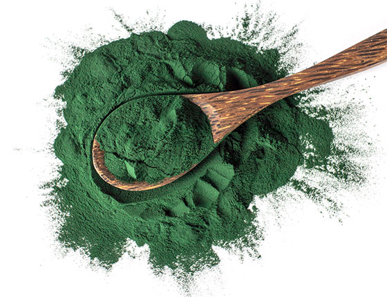 organic spirulina protein powder