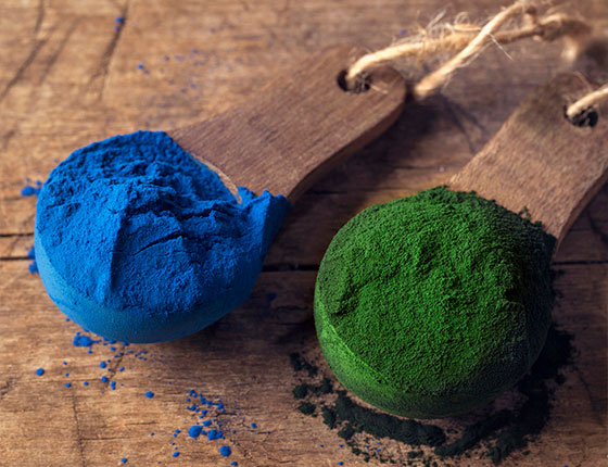 phycocyanin price per kg