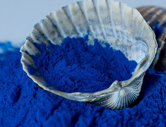 phycocyanin price