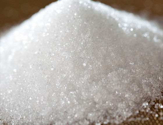 organic xylitol powder