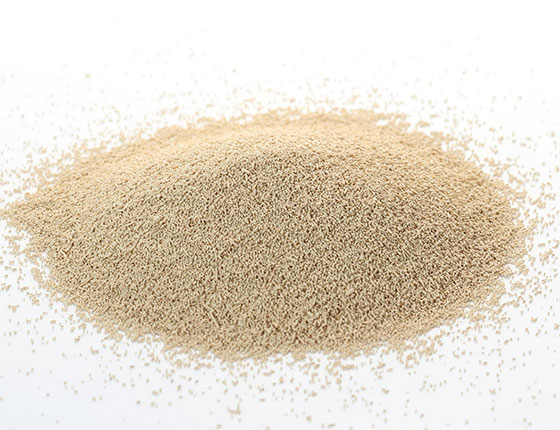 buy yeast extract powder