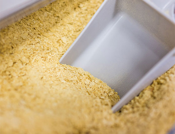 organic yeast extract