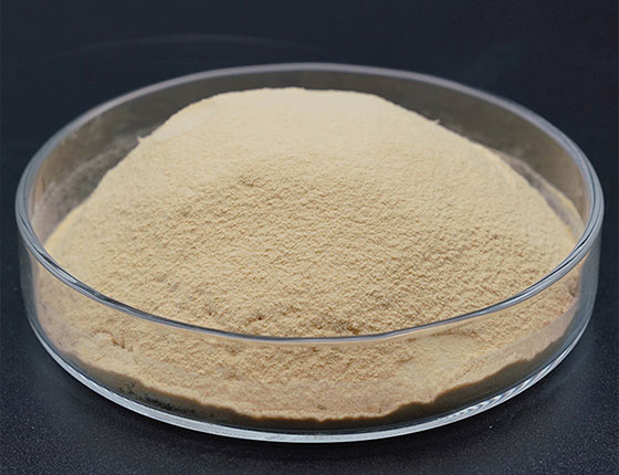powdered nutritional yeast
