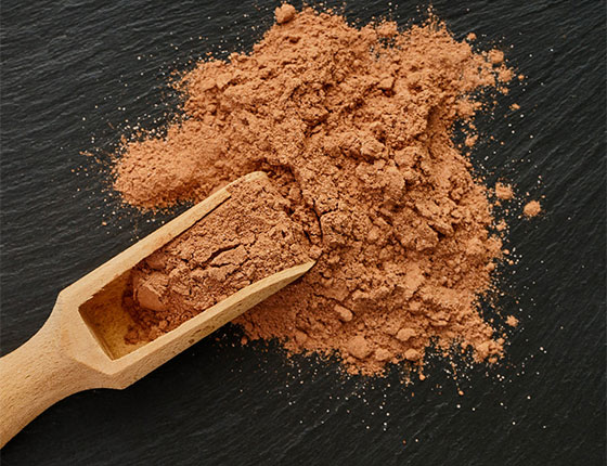 cordyceps mushroom extract powder