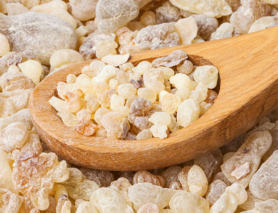 organic boswellia powder