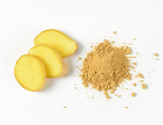 organic ginger extract powder