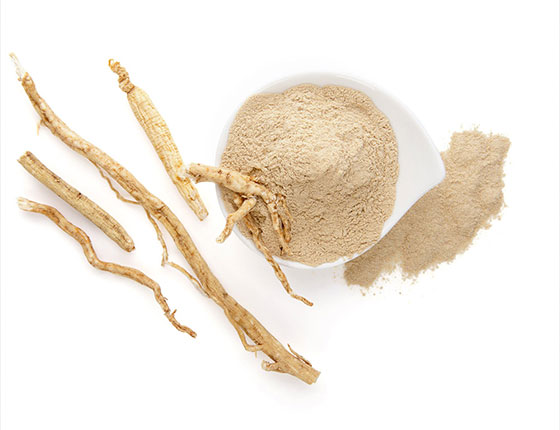 organic panax ginseng extract