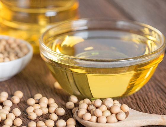 granulated soy lecithin