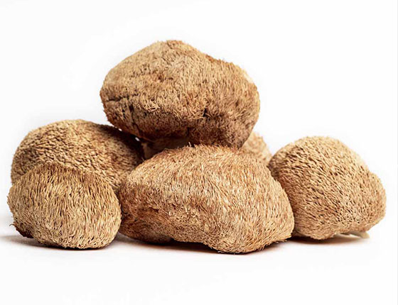organic lions mane mushroom powder bulk