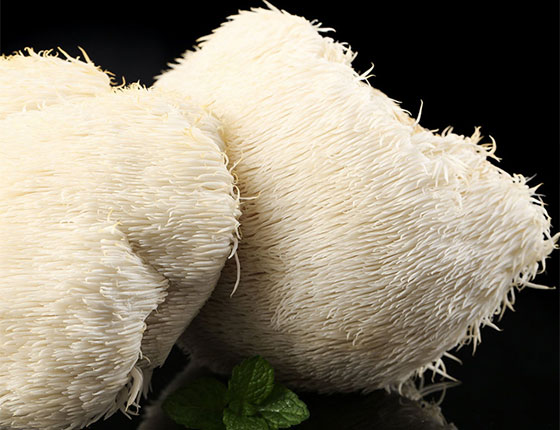 organic lions mane mushroom powder