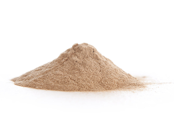 buy astragalus membranaceus