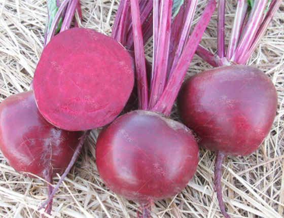 organic beet root powder 5