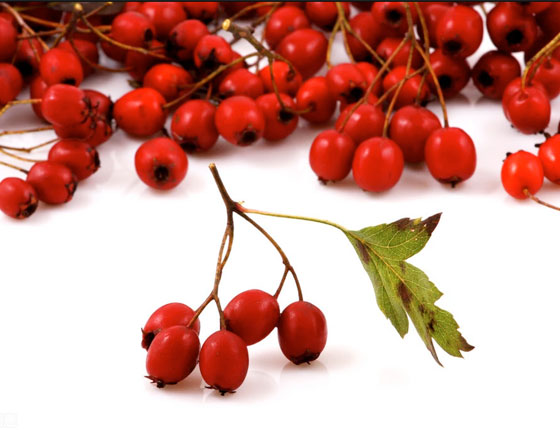 organic rosehip powder 3