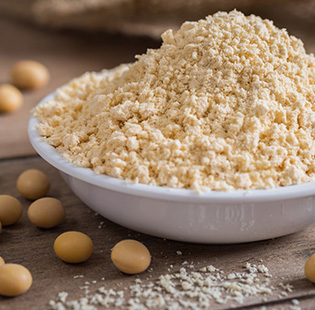 Organic Soy Protein Powder