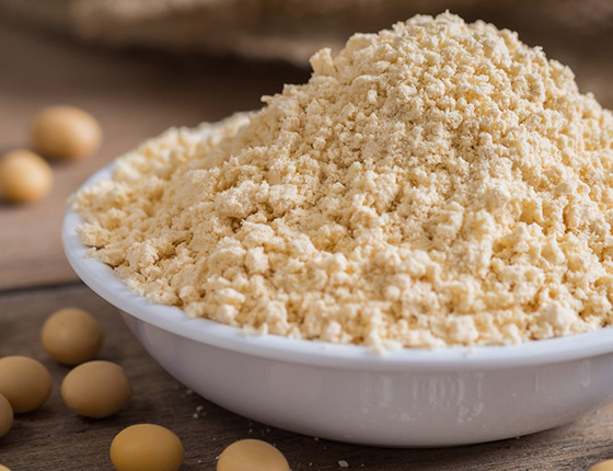 soy protein