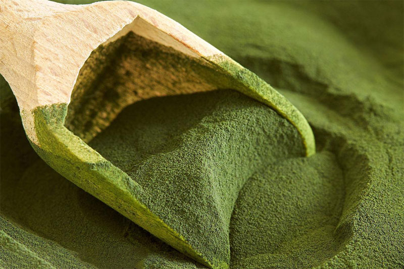 Bulk-Chlorella-Powder-Wholesale-Comprehensive-Guide-1.jpg Bulk-Chlorella-Powder-Wholesale-Comprehensive-Guide-1.jpg