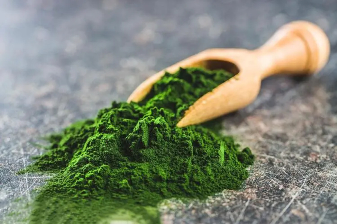 wholesale_chlorella_powder.png